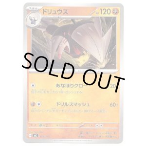 画像: ドリュウズ