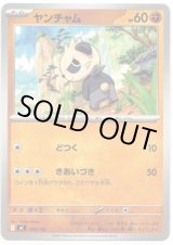 画像: ヤンチャム