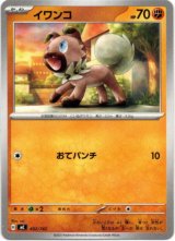 画像: イワンコ