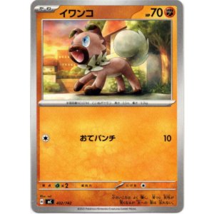 画像: イワンコ