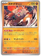 画像: ガチグマ アカツキ