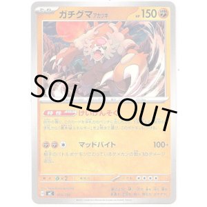 画像: ガチグマ アカツキ