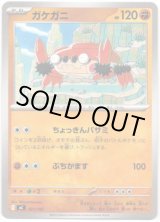 画像: ガケガニ