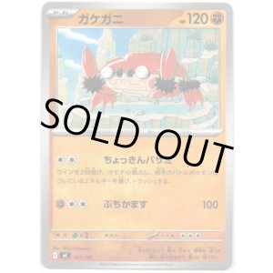 画像: ガケガニ