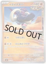 画像: イダイナキバ