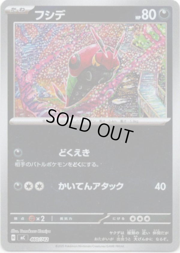 画像1: 【ミラー】フシデ