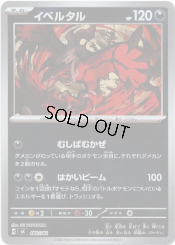 画像1: 【ミラー】イベルタル