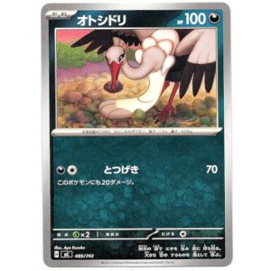 画像: オトシドリ