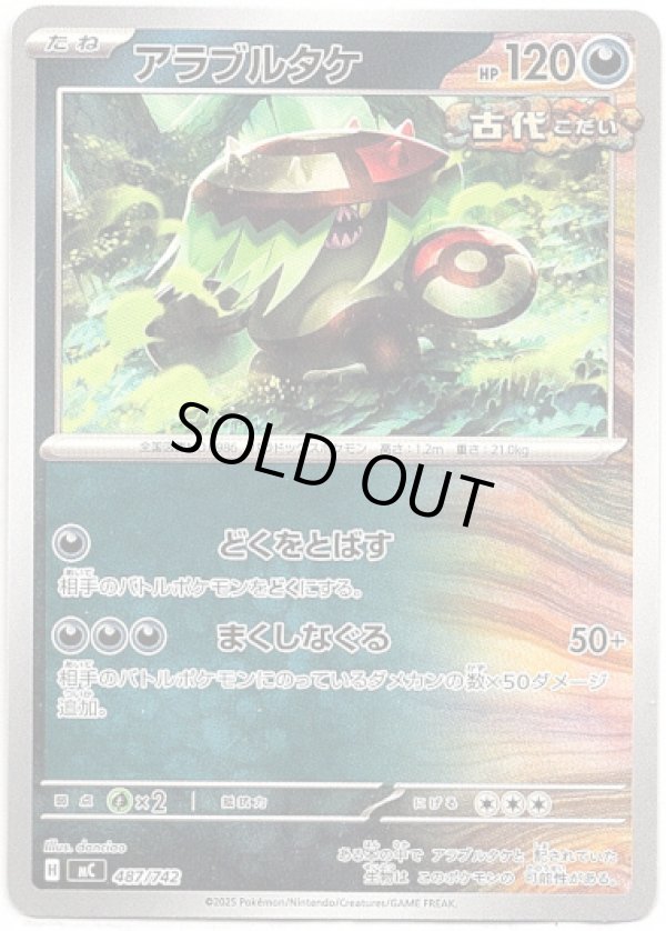 画像1: アラブルタケ