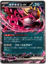 画像: キチキギスex