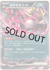 画像: キチキギスex