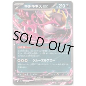 画像: キチキギスex