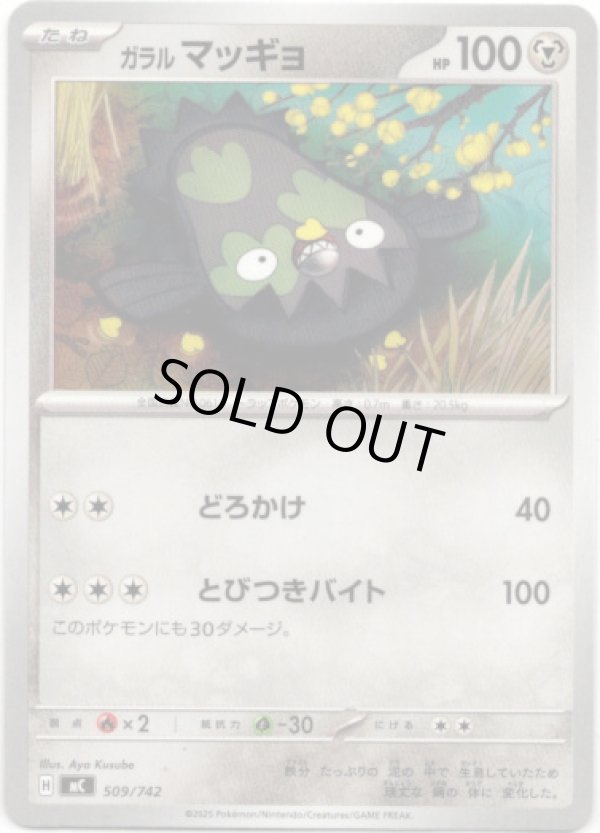 画像1: ガラル マッギョ