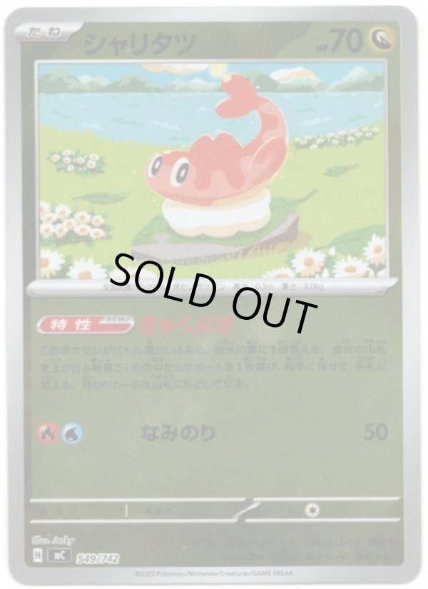 画像1: 【ミラー】シャリタツ