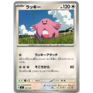 画像: ラッキー