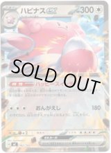 画像: ハピナスex