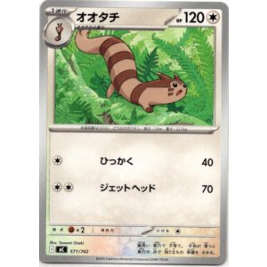 画像: オオタチ