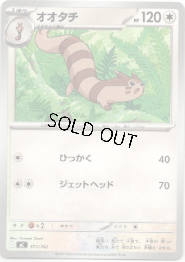 画像1: オオタチ