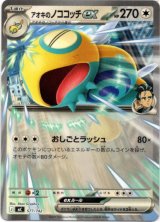 画像: アオキのノココッチex