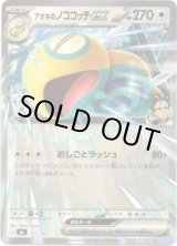 画像: アオキのノココッチex