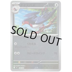 画像: 【ミラー】オオスバメ