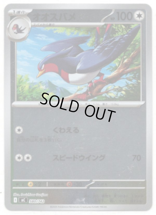 画像1: 【ミラー】オオスバメ