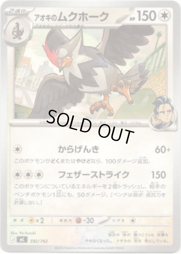 画像1: アオキのムクホーク