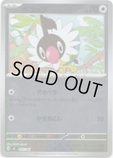 画像: 【ミラー】ペラップ