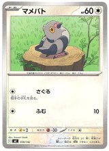 画像: マメパト