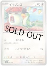 画像: イキリンコ