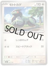 画像: モトトカゲ