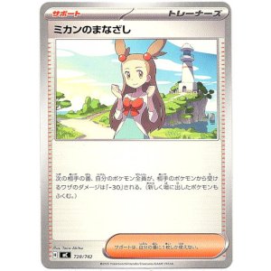 画像: ミカンのまなざし