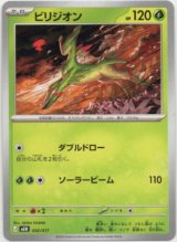 画像: ビリジオン