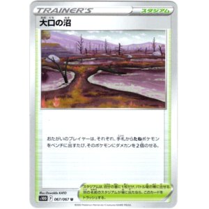 画像: 大口の沼