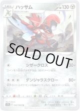 画像: ハッサム