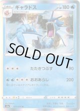 画像: ギャラドス