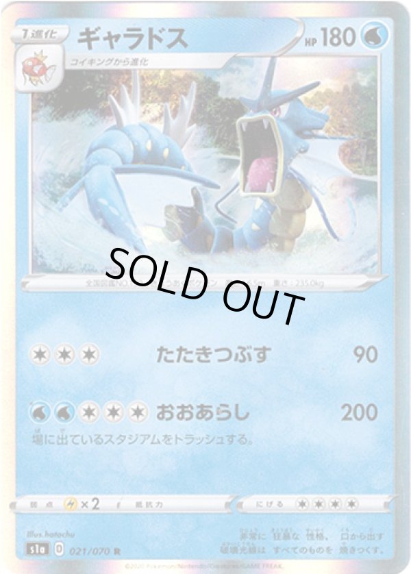 画像1: ギャラドス