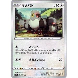 画像: マメパト