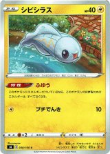 画像: シビシラス