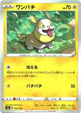 画像: ワンパチ