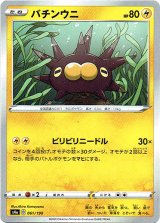 画像: バチンウニ