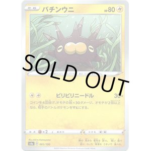 画像: 【ミラー】バチンウニ