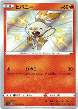 画像: 【S】ヒバニー