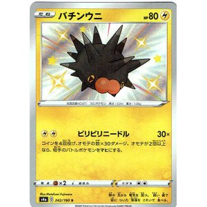 画像: 【S】バチンウニ