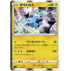 画像: ボルトロス