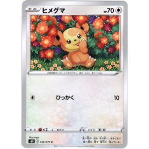 画像: ヒメグマ