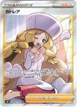 画像1: ※傷有り品（返品交換対象外）【SR】カトレア