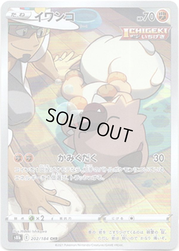 画像1: 【CHR】イワンコ