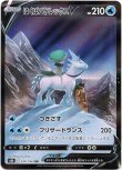 画像1: ※傷有り品（返品交換対象外）【CSR】はくばバドレックスV