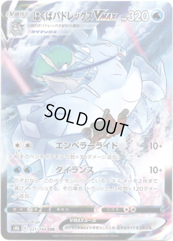 画像1: 【CSR】はくばバドレックスVMAX